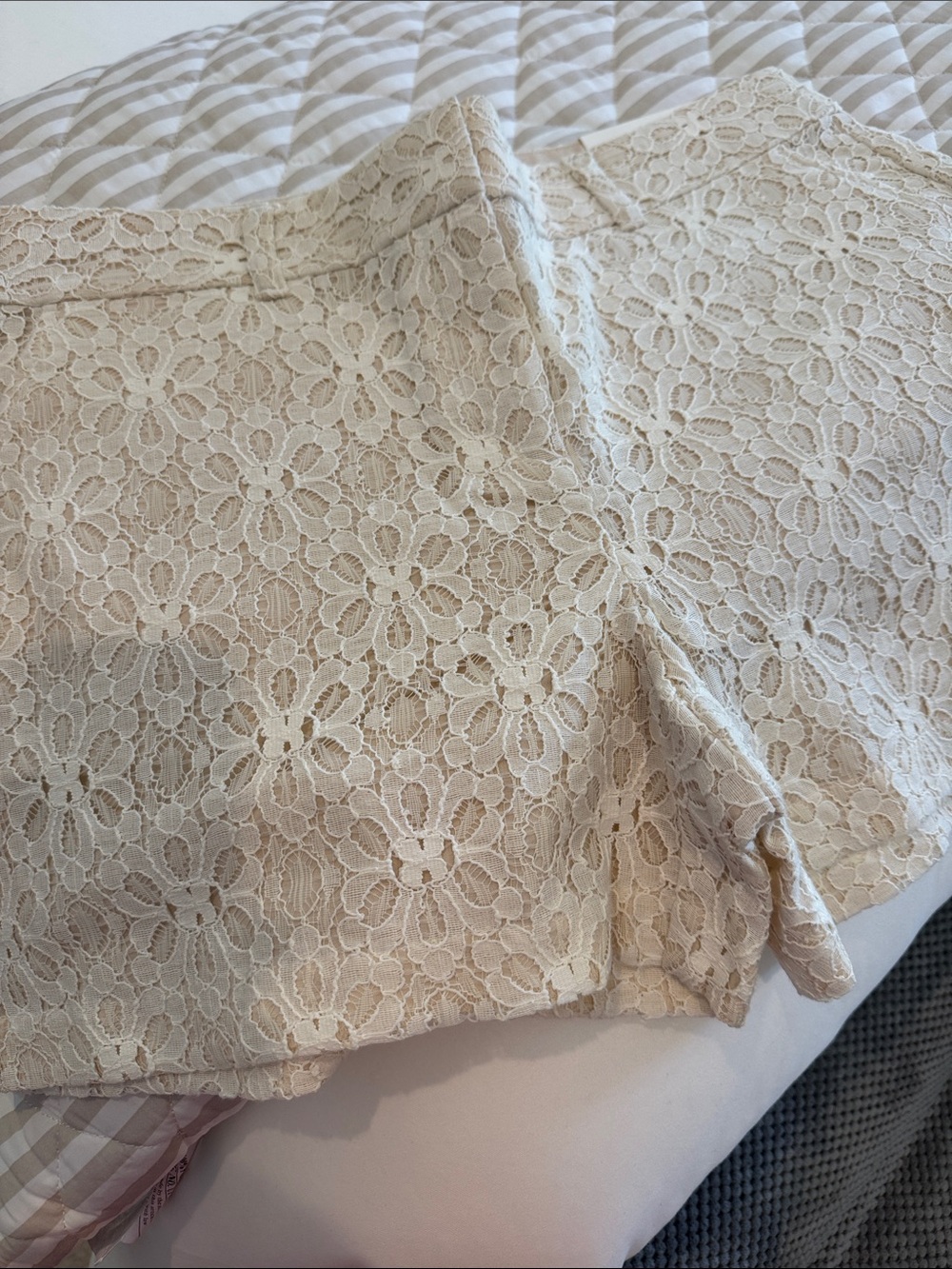 NWT LOFT Cream Lace SHORTS